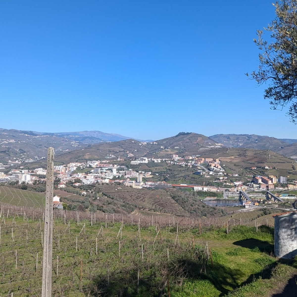 Company: Image 87